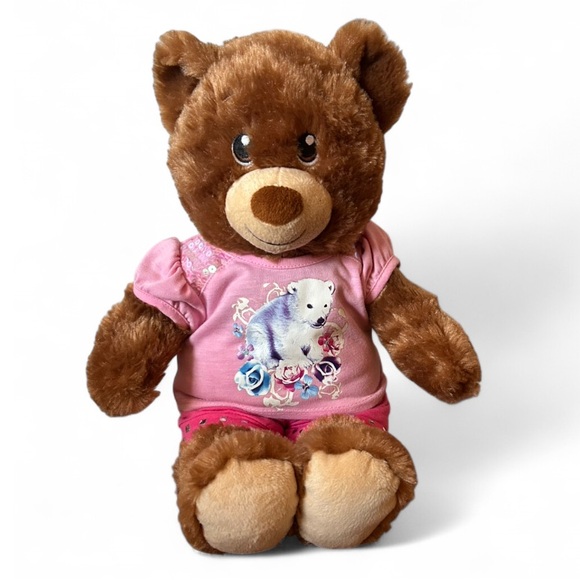 Build-A-Bear Other - Build-A-Bear Brown Teddy with Multiple Outfits